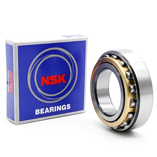 High Precision NSK N305em NJ305em NF305em Cylindrical Roller Bearings for Motors Automation