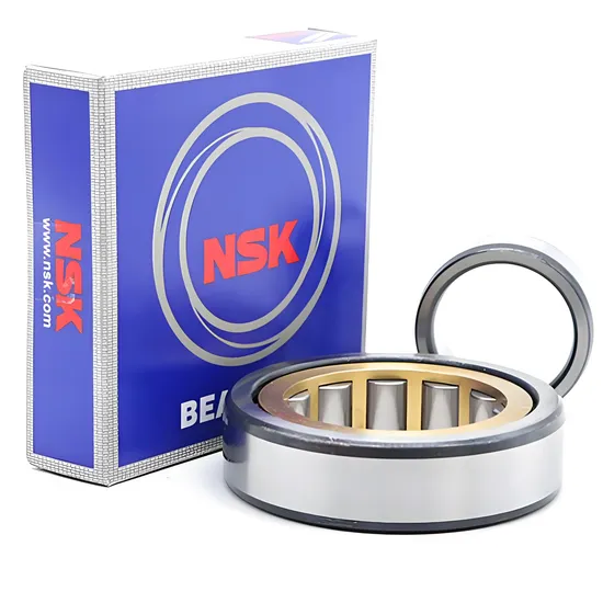 High-Speed Low-Noise NSK NF303EM NF304EM NF305EM Cylindrical Roller Bearings for Motors