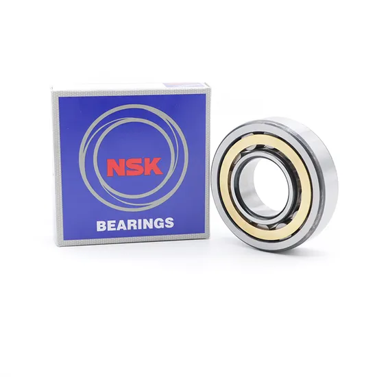 Cylindrical Roller Bearing NJ417EM NJ418EM NJ419EM for High-Speed Motors with ISO 9001 Quality